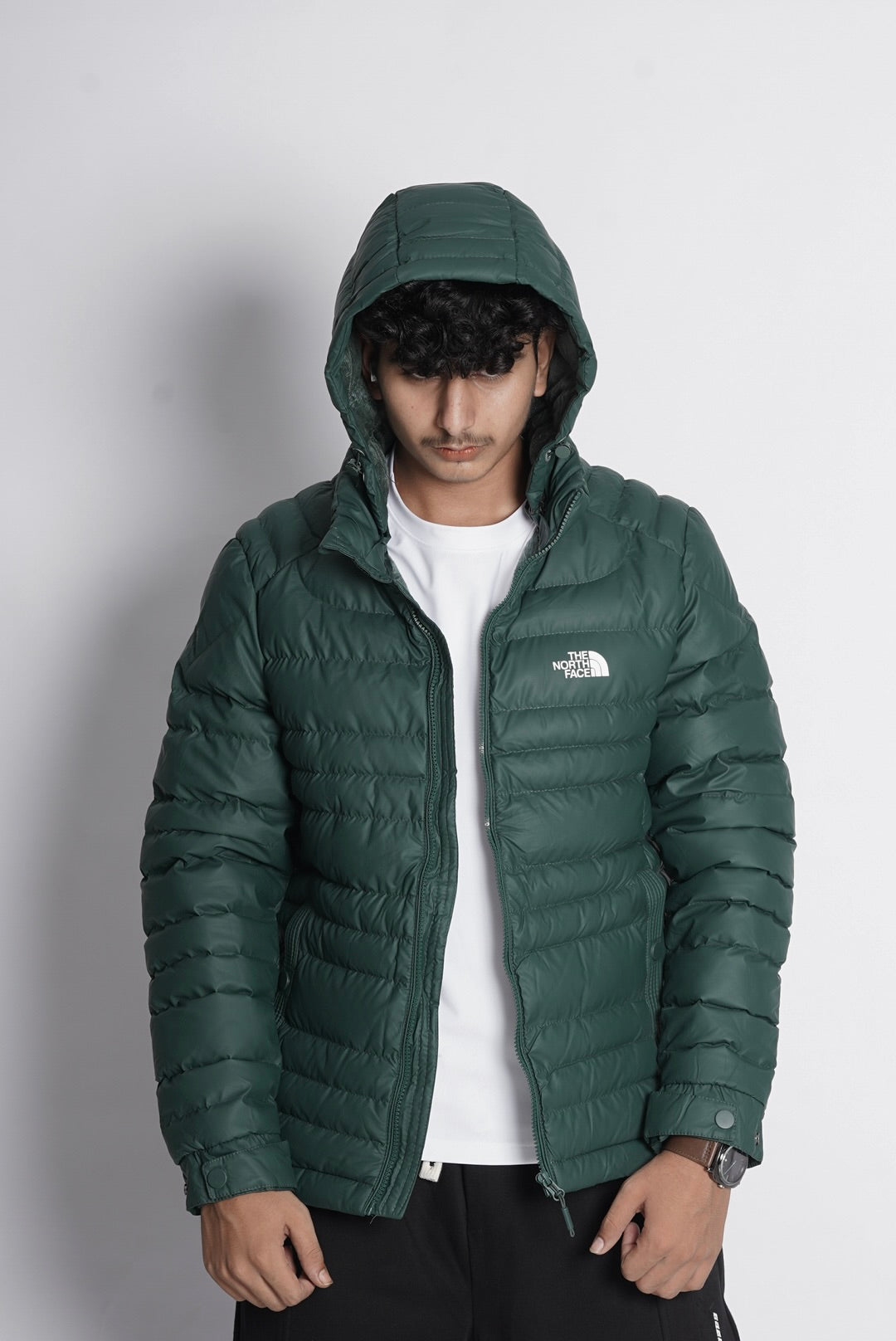 NORTHFACE IMPORTED PUFFER