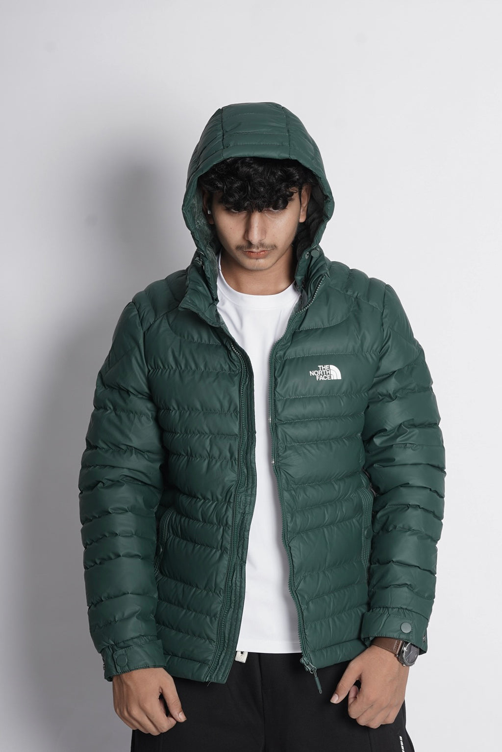 NORTHFACE IMPORTED PUFFER